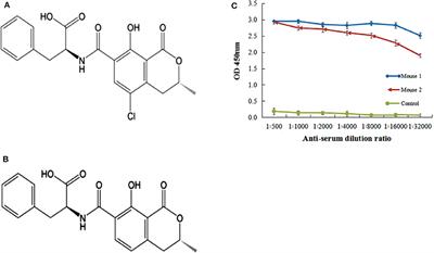 Development of ELISA and Lateral Flow Immunoassays for Ochratoxins (OTA and OTB) Detection Based on Monoclonal Antibody